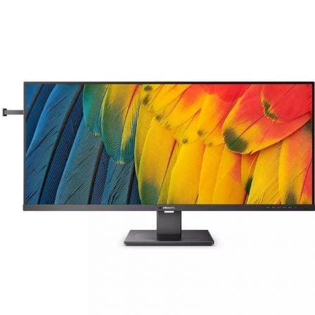 Monitor Profesional Ultraparonámico Philips 40B1U5600 39.53'/ WQHD/ Multimedia/ Negro