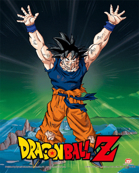 POSTER 3D DRAGON BALL Z POWER LEVELS INCREASED