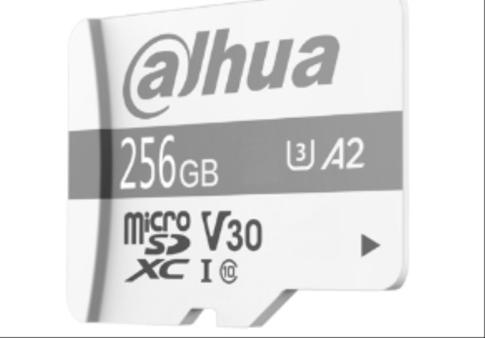 MICRO SD DAHUA P100 256GB SURVEILLANCE